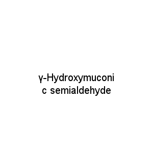 γ-Hydroxymuconic semialdehyde